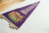 Textured purple felt and the detailed graphic of a Native American woman on a vintage pennant.