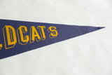 Vintage blue felt Wildcats pennant, yellow DCATS lettering and pointed tip.
