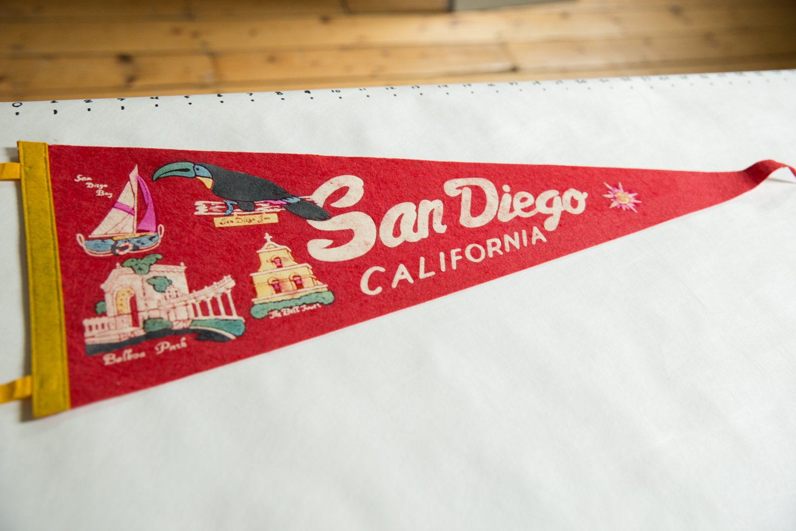 San Diego California Felt Flag