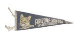 Vintage gray felt pennant, Arizona-Sonora Desert Museum, George the mountain lion, 6