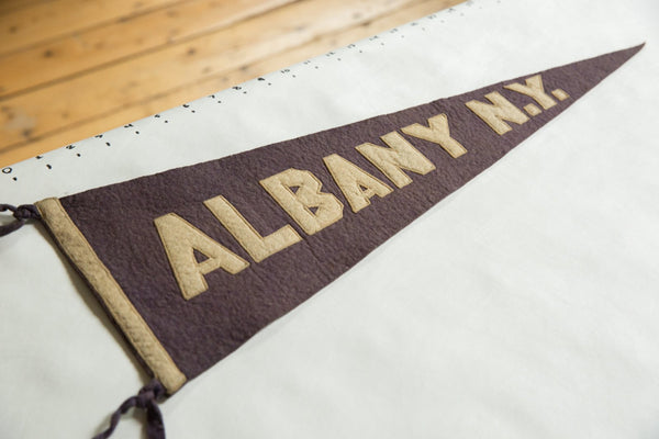 Albany N.Y. Felt Flag