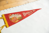 Red felt Hogback Mt. Vermont pennant with yellow text and mountain graphic.