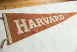 Textured dusty terra-cotta felt with white Harvard block lettering and binding.