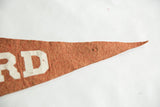 Dusty terra-cotta felt with white block lettering near the pointed pennant tip.