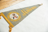 George Washington emblem encircled by Valley Forge text on the vintage Boy Scout pennant.