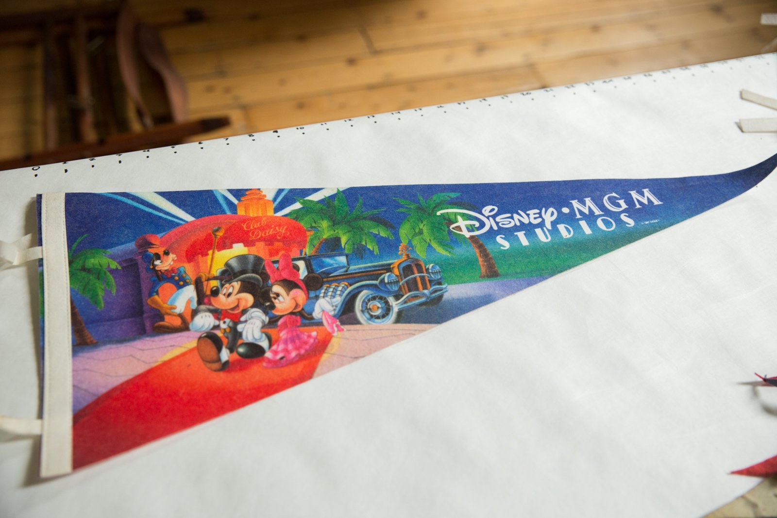 Disney - Mgm Studios (Club Daisy) Felt Flag