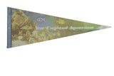 Vintage New England Aquarium felt flag pennant, 12x30, with colorful fish, sea turtle, and coral reef.