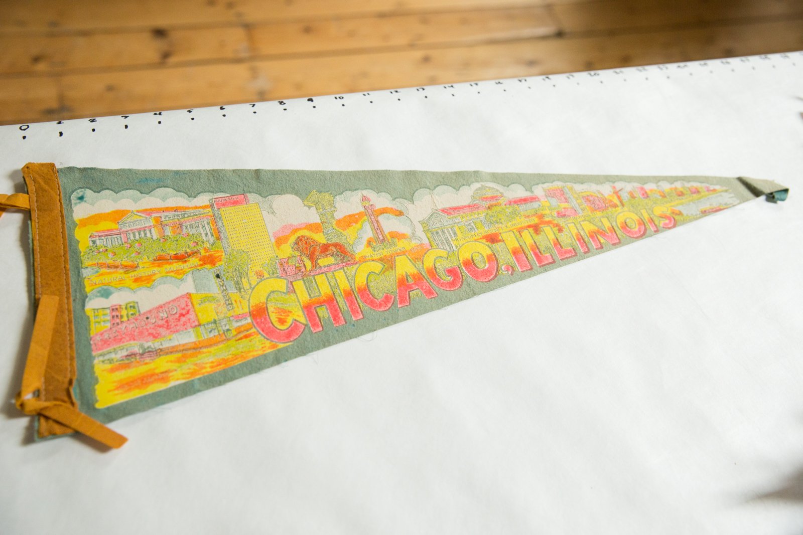 Chicago, Illinois (Chicago Skyline) Felt Flag