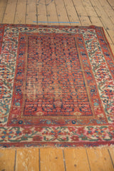 Fringe detail on vintage Malayer rug's lower border with raspberry, ivory meandering vine motif.