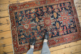 Vintage Heriz rug with intricate curvilinear vinery and soft red, blue, and blush tones.
