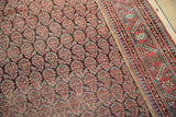 Antique Malayer carpet's blush, charcoal, and blue boteh design motif with border.