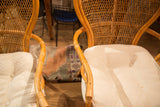 Curved natural rattan chair arms, woven backs, and tufted cotton cushions.
