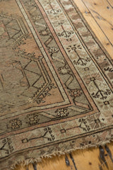 Geometric blossomed buds, germinating trees, and exposed foundation on a vintage Caucasian runner.