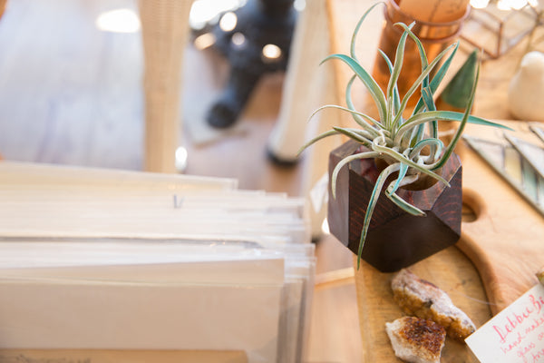 Air Plant Wooden Planter Charcoal Red // ONH Item 6410 Image 1