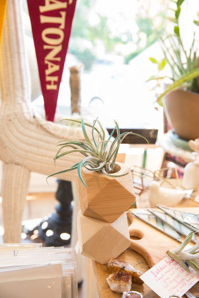 Air Plant Wooden Planter Natural Cedar // ONH Item 6411 Image 4