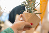 Hand holding geometric wood planter, showing its natural grain and texture.