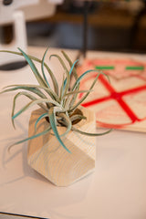 Lower geometric side of wooden planter, showing natural wood grain and off-white wash.