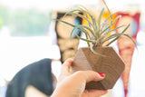 Hand holding geometric light grey wooden air plant holder.