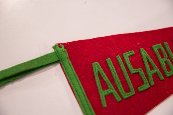 Vintage Ausable Chasm NY Felt Flag Pennant Image 2