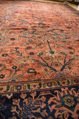 Sprawling blush dusty rose Persian Lilihan field, delicate floral vinery, deep navy border.
