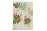 Detailed antique botanical watercolor from the late 19th century, showing green leaves and vibrant berries.