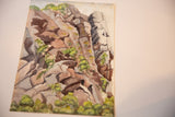 Textured depiction of brown and grey rock formations with vibrant green foliage.
