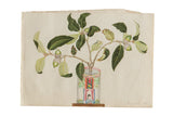 Late 19th century botanical watercolor painting of a leafy branch with acorns in a colorful vase, 7x10.