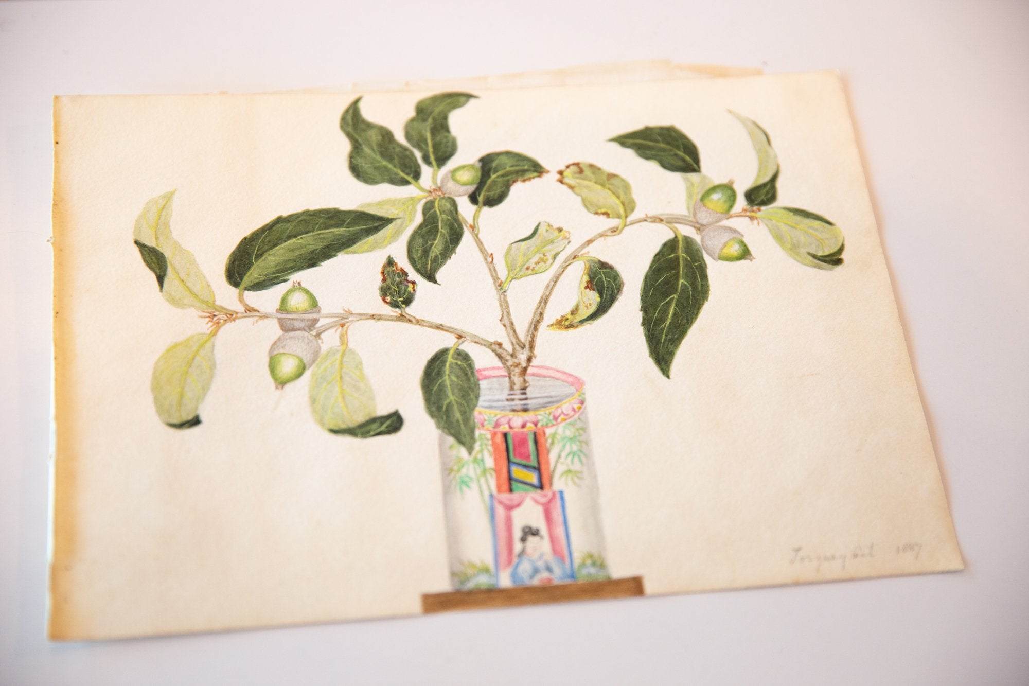 Botanical in Vase Watercolor Painting / ONH Item 6663 Image 1