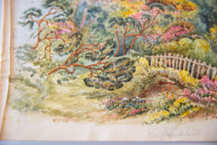 Boscombe Botanical Garden Antique Watercolor Painting / ONH Item 6665 Image 3