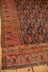 Antique Malayer rug: fuschia raspberry border with paisley motifs, navy staggered boteh field.