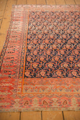 Navy field with fuschia raspberry and orange boteh, subtle abrashes, wide coral border.