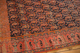 Navy blue allover boteh pattern and fuschia raspberry border on an antique Malayer rug.