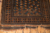 Antique Belouch rug: tattered end, worn fringe, chocolate brown borders, and exposed foundation.