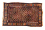 Antique Persian Belouch rug, allover germinating floral trellis, time-softened navy, terracotta, sand tones, 3x5.