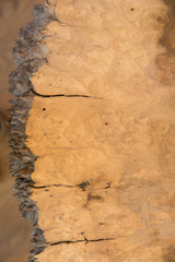 Burl wood surface of the live edge table, highlighting organic texture and cracks.