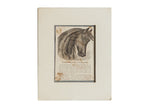 Matted antique horse etching from circa 1850s newspaper print, with historic patina.
