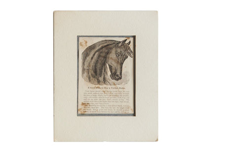 Antique Perfect Horse Newspaper Print