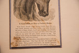 Lower section of antique horse etching, descriptive text, and aged paper with warm patina.