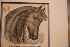 Antique Perfect Horse Newspaper Print Image 3