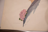 Paul Meylan signature and 1910 copyright text on the vintage lithograph.