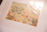 Colorful vintage springy landscape print with a tree, protected in a clear plastic sleeve.