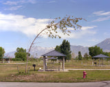 Color photograph, Bending Tree, showing a park landscape with a leaning tree and distant mountains.