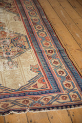 Wide, antique Serab rug border with blue, red, and beige vine and pawn motifs.