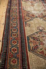 Antique Serab runner's wide border with unusual meandering vine and pawn motifs, aged tones.