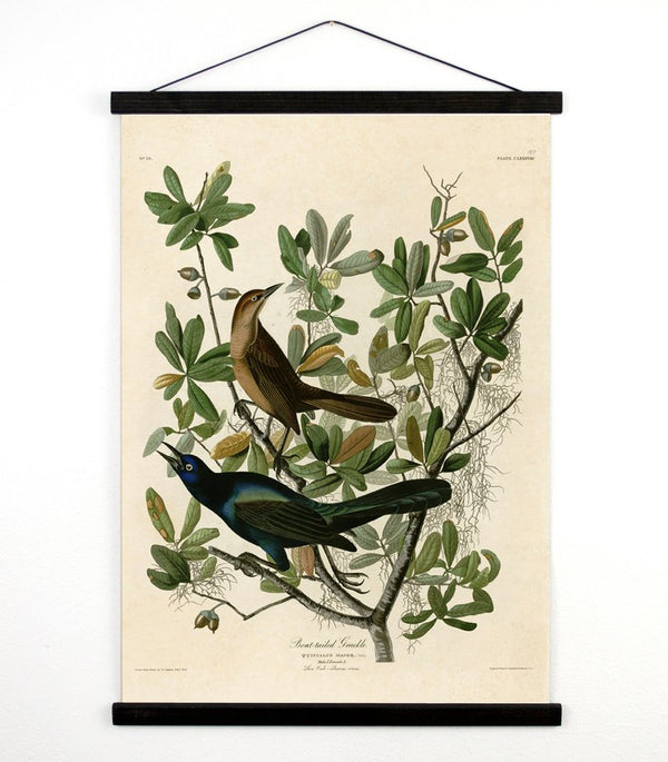 Made in USA Bird Antique Reproduction Pull Down Chart // ONH Item 7059