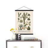 Antique reproduction cactus chart with black hangers, displayed as vintage botanical wall decor.