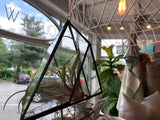 Glass Triangle Air Plant Hanger // ONH Item 7065