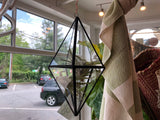 Hanging glass diamond terrarium with an air plant inside, viewed in a window.