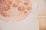Detail of Katelyn Morse's warm moon painting, showing craters, highlights, and signature.