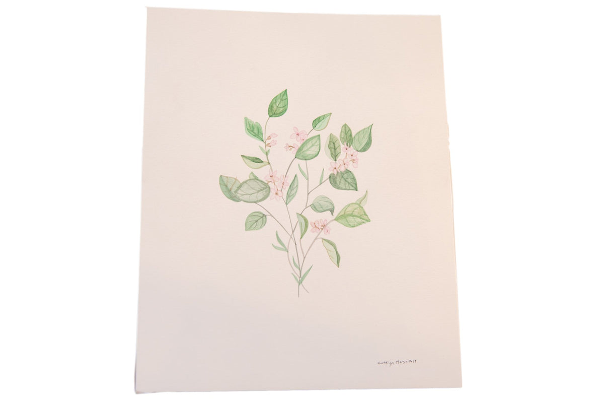 Original Katelyn Morse botanical painting "Growth" with delicate green leaves and pink flowers.